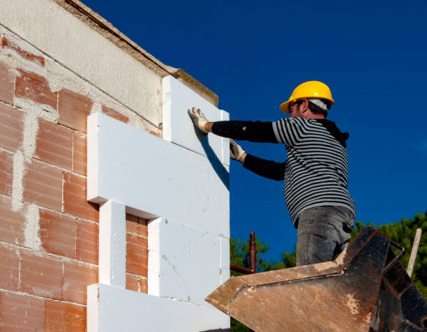 Best Professional Insulation Contractor  in Buckhannon, WV
