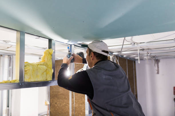 Best Affordable Insulation Services  in Buckhannon, WV