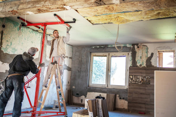 Best Commercial Insulation Contractor  in Buckhannon, WV