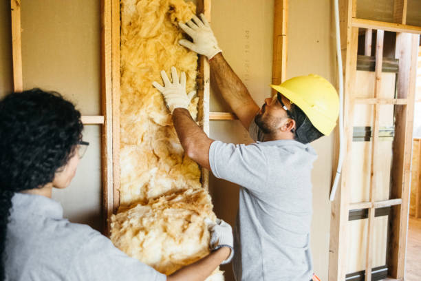 Best Best Insulation Companies  in Buckhannon, WV