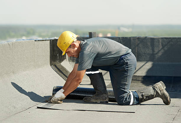 Best Insulation Repair Services  in Buckhannon, WV